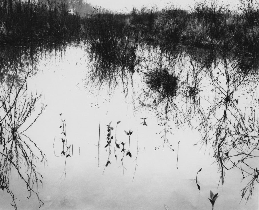 Jachna, Untitled, 1962
