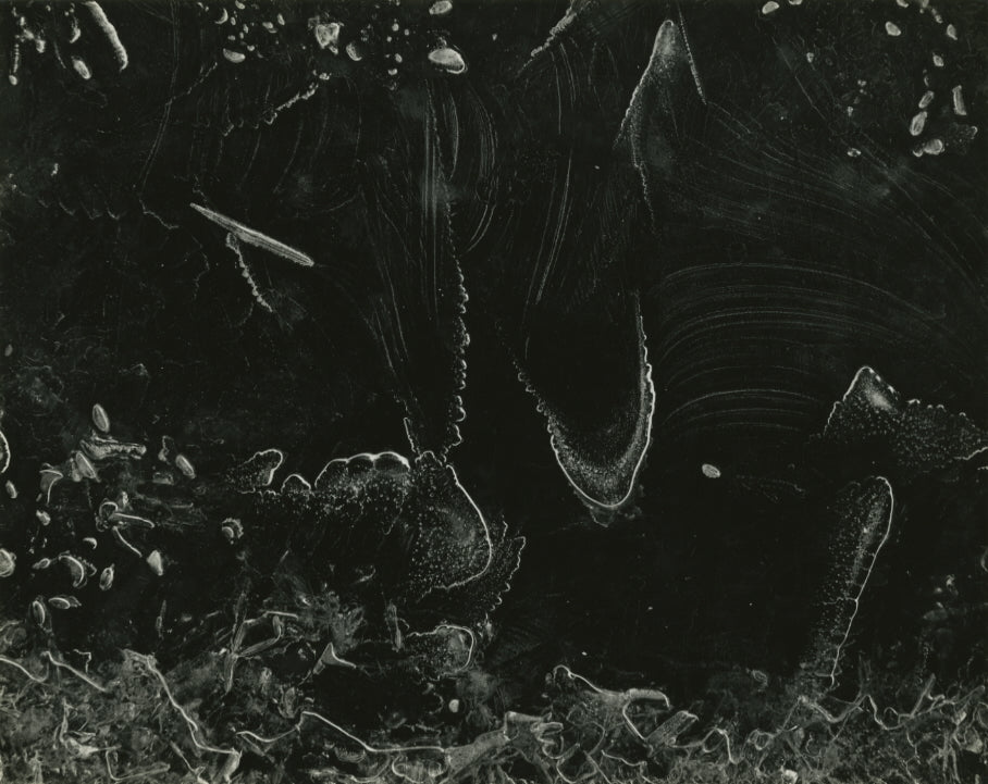 Jachna, Untitled, 1964