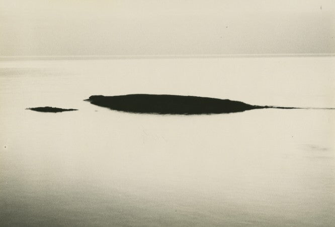 Jachna, Untitled, 1960