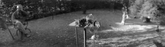 Sudek, The Magic Garden, 1961