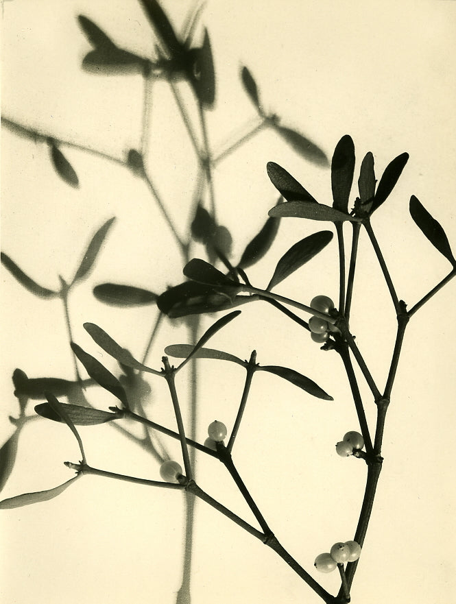 Sudek, Panorama, 1932