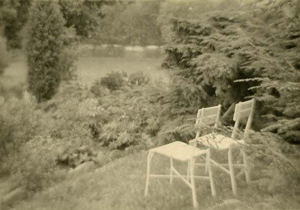 Sudek, The Royal Gardens, 1962