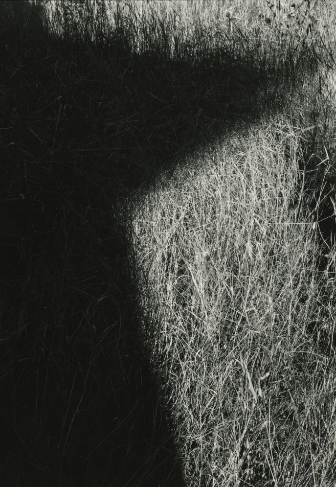 Josephson, Minnesota, 1964
