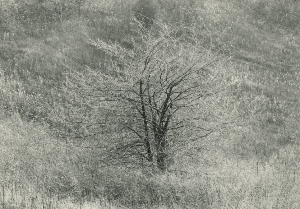 Josephson, Wisconsin, 1964