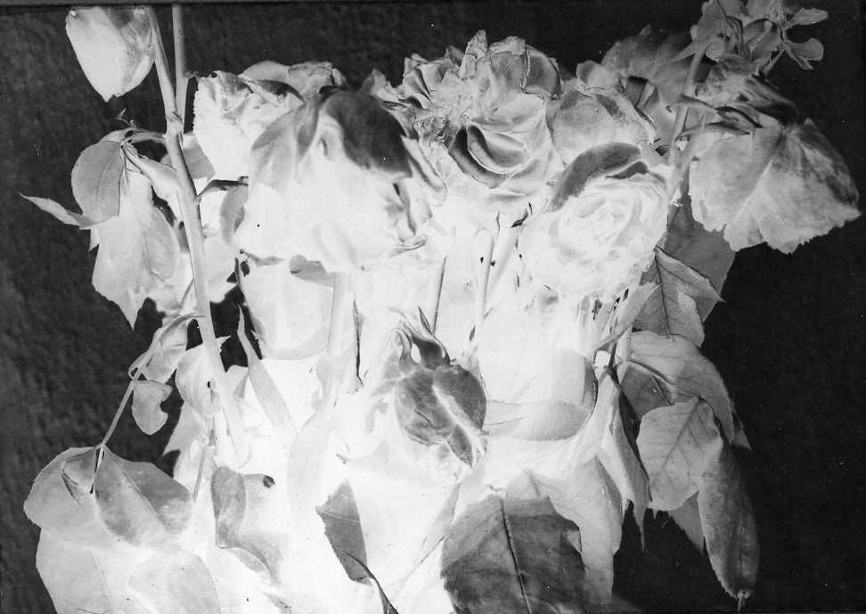 Teske, Faded Roses, Murray Drive Studio, Los Angeles, 1958-59