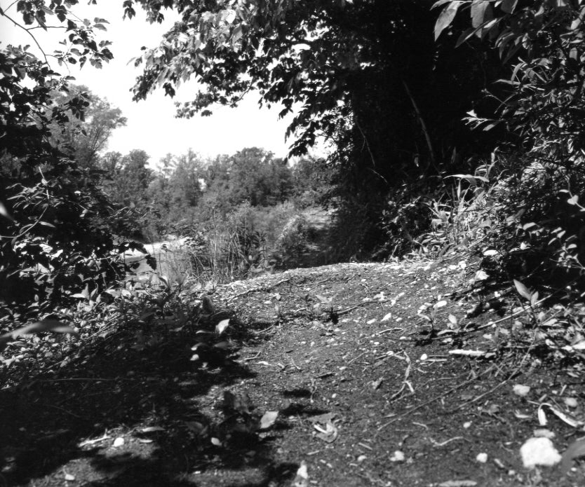 Gossage, The Pond, c.1982
