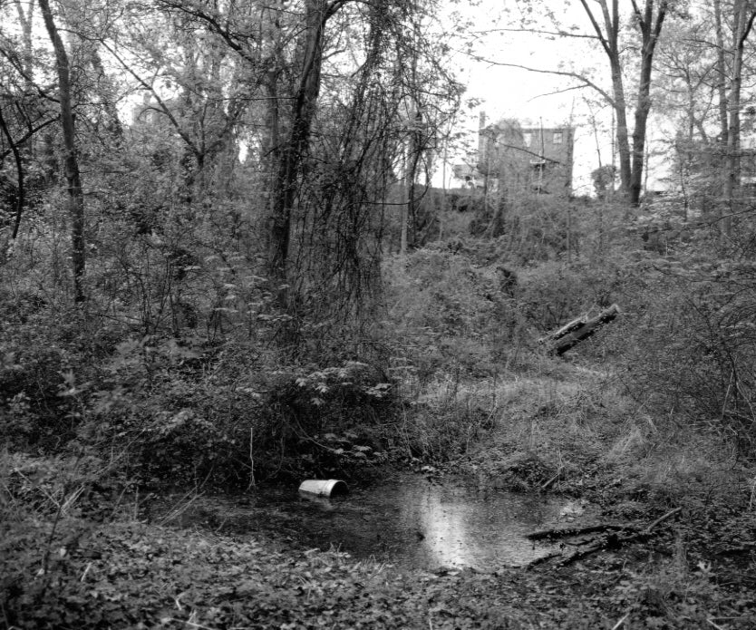 Gossage, The Pond, c.1982