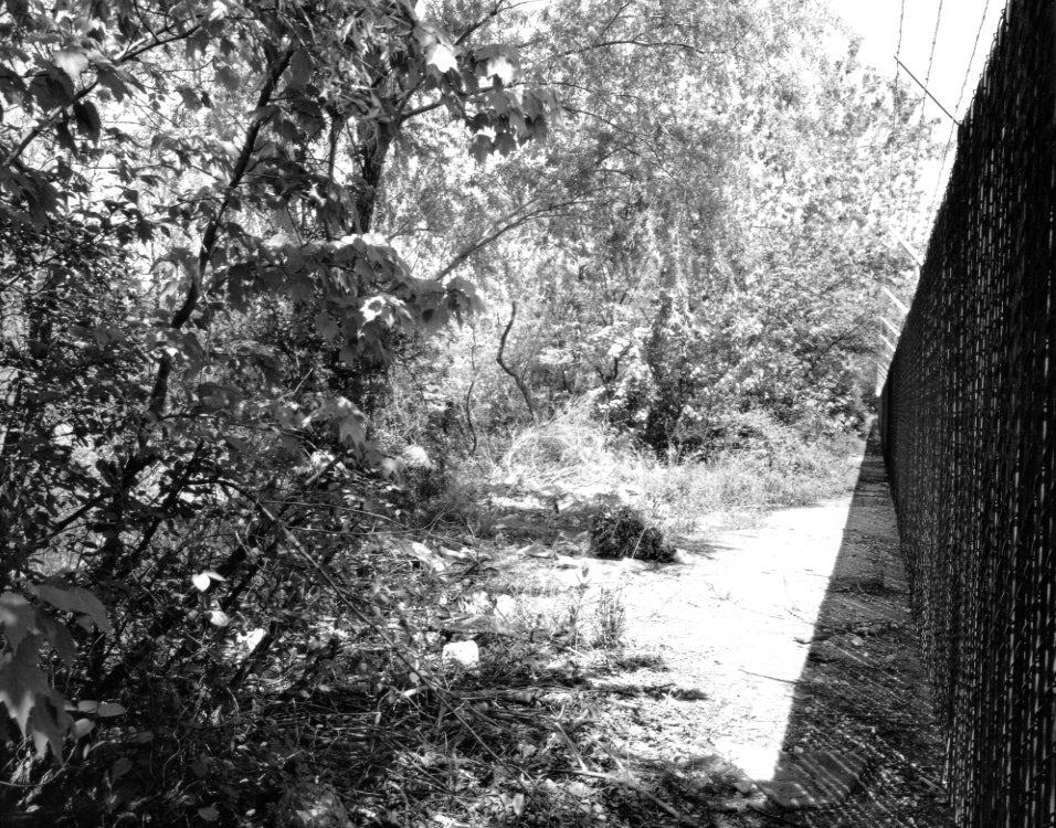 Gossage, The Pond, c.1982