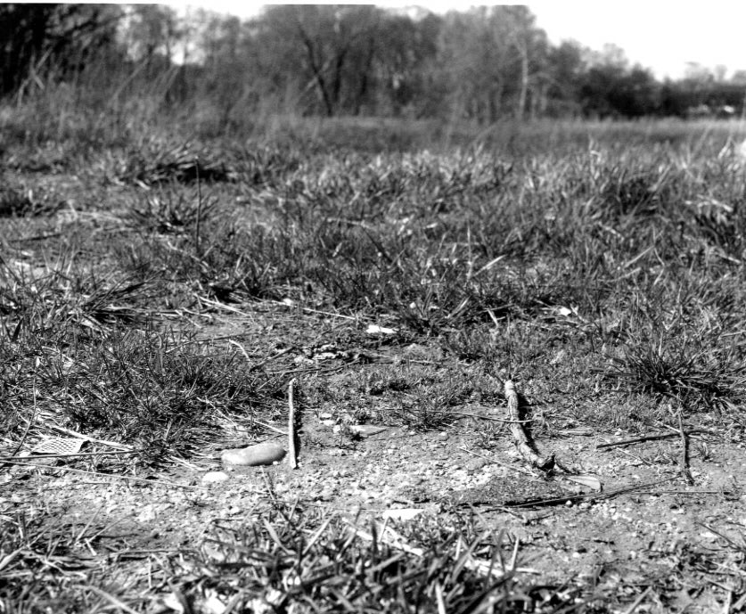 Gossage, The Pond, c.1982