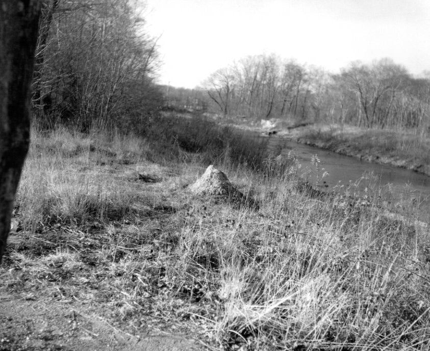 Gossage, The Pond, c.1982