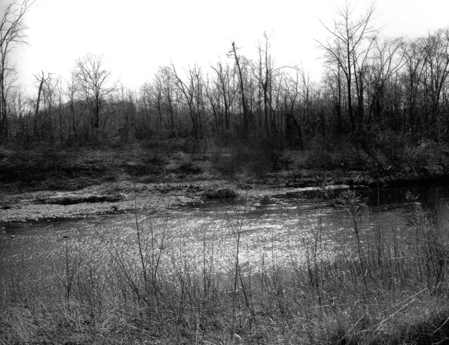 Gossage, The Pond, c.1982