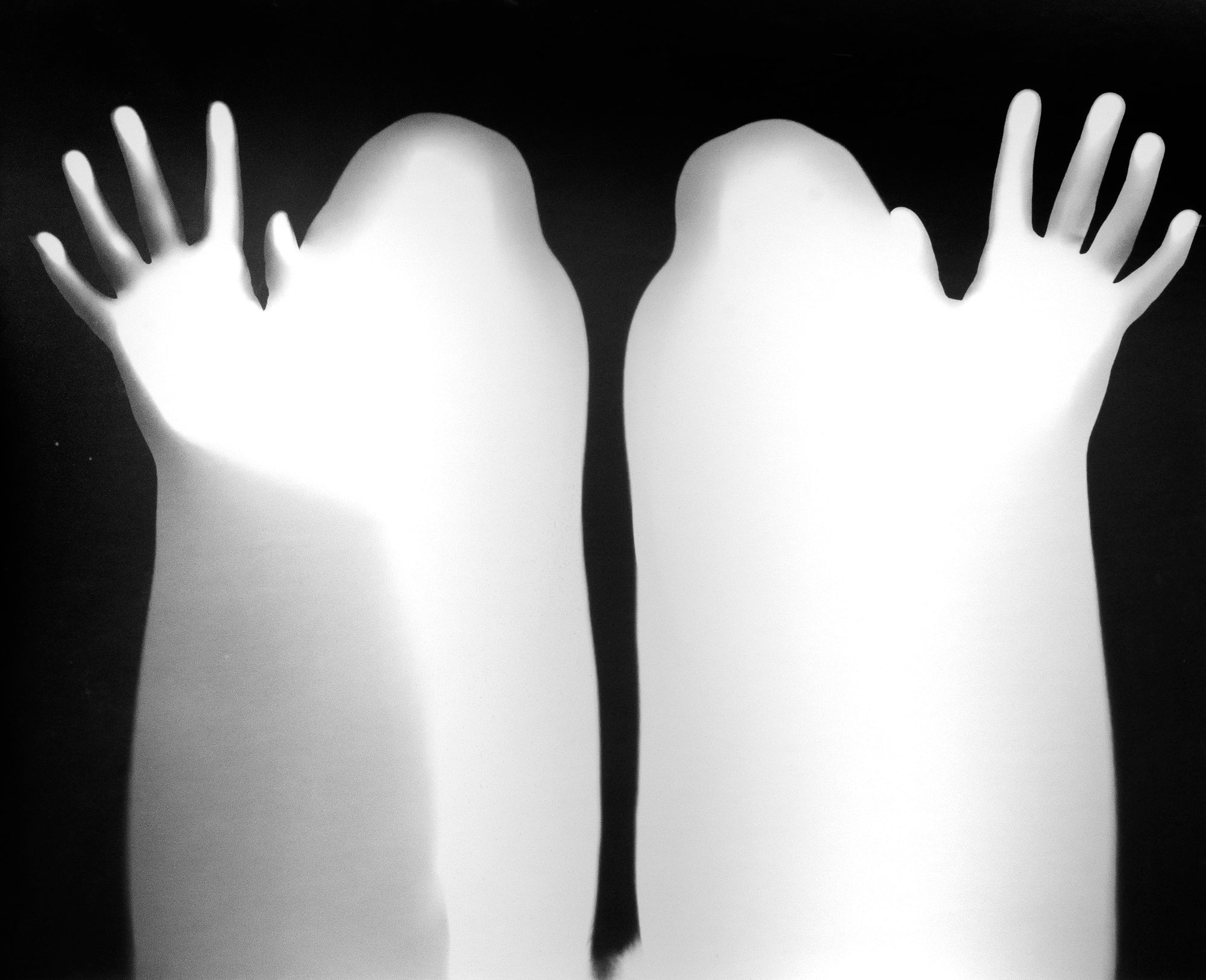 Swedlund, Untitled (photogram), 1967