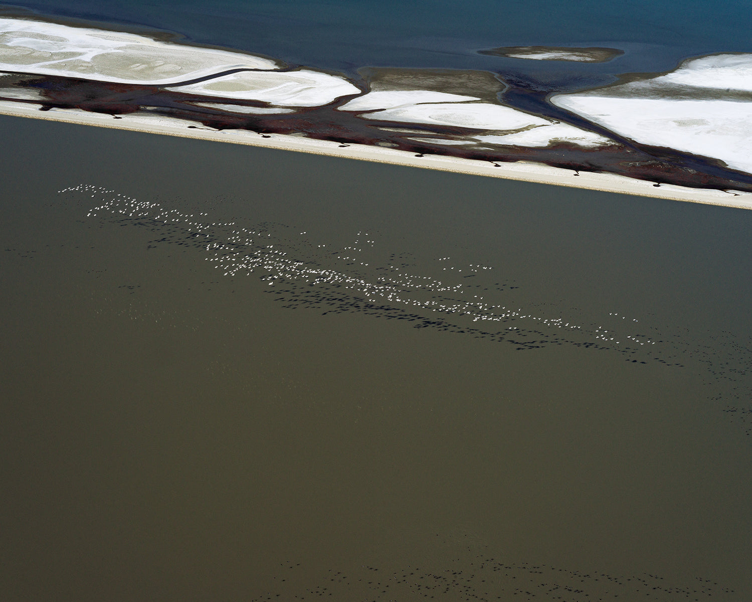 Temkin, In Flight – Owens Lake, CA, 2021
