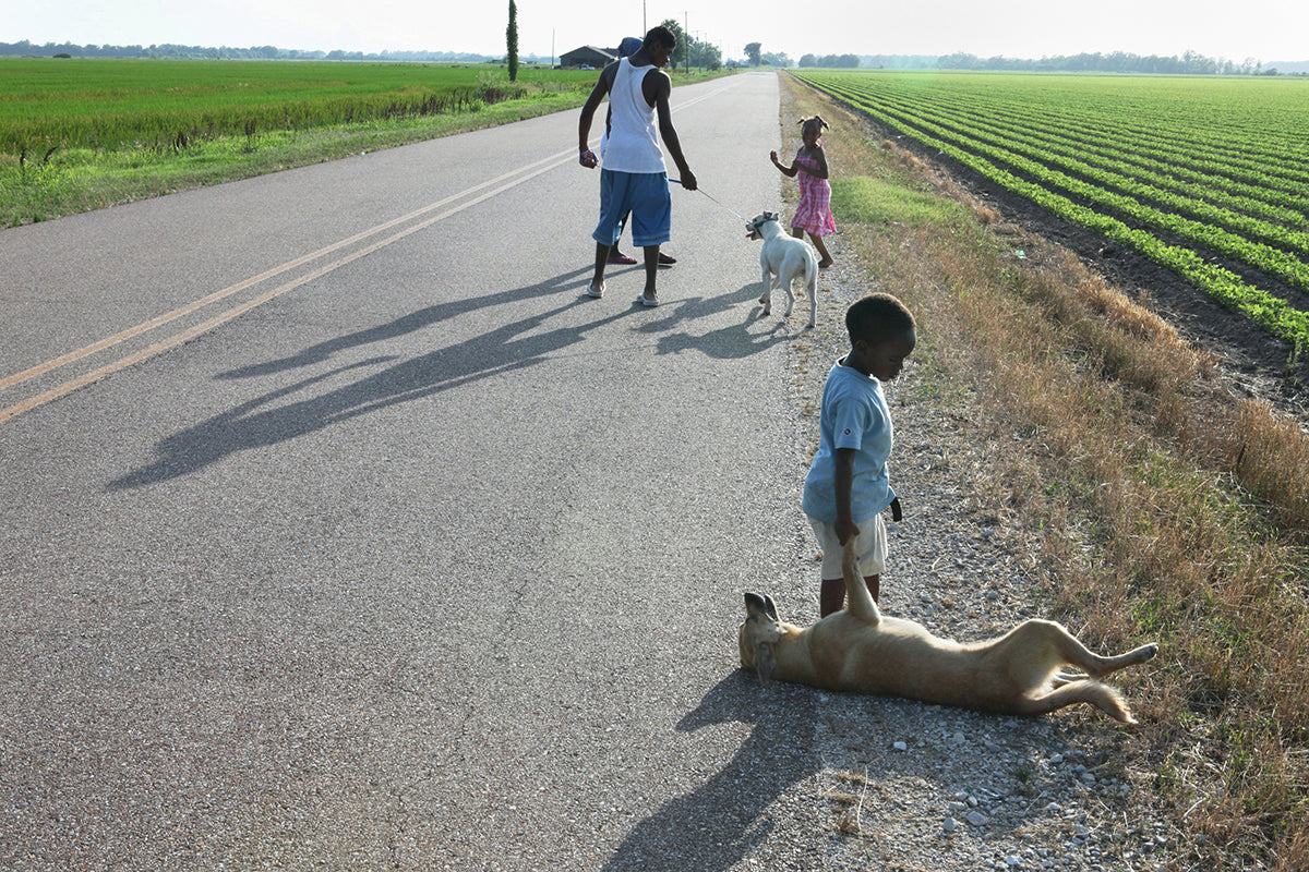 Richards, Walking Towards Home, Crawfordsville, AR, 2010