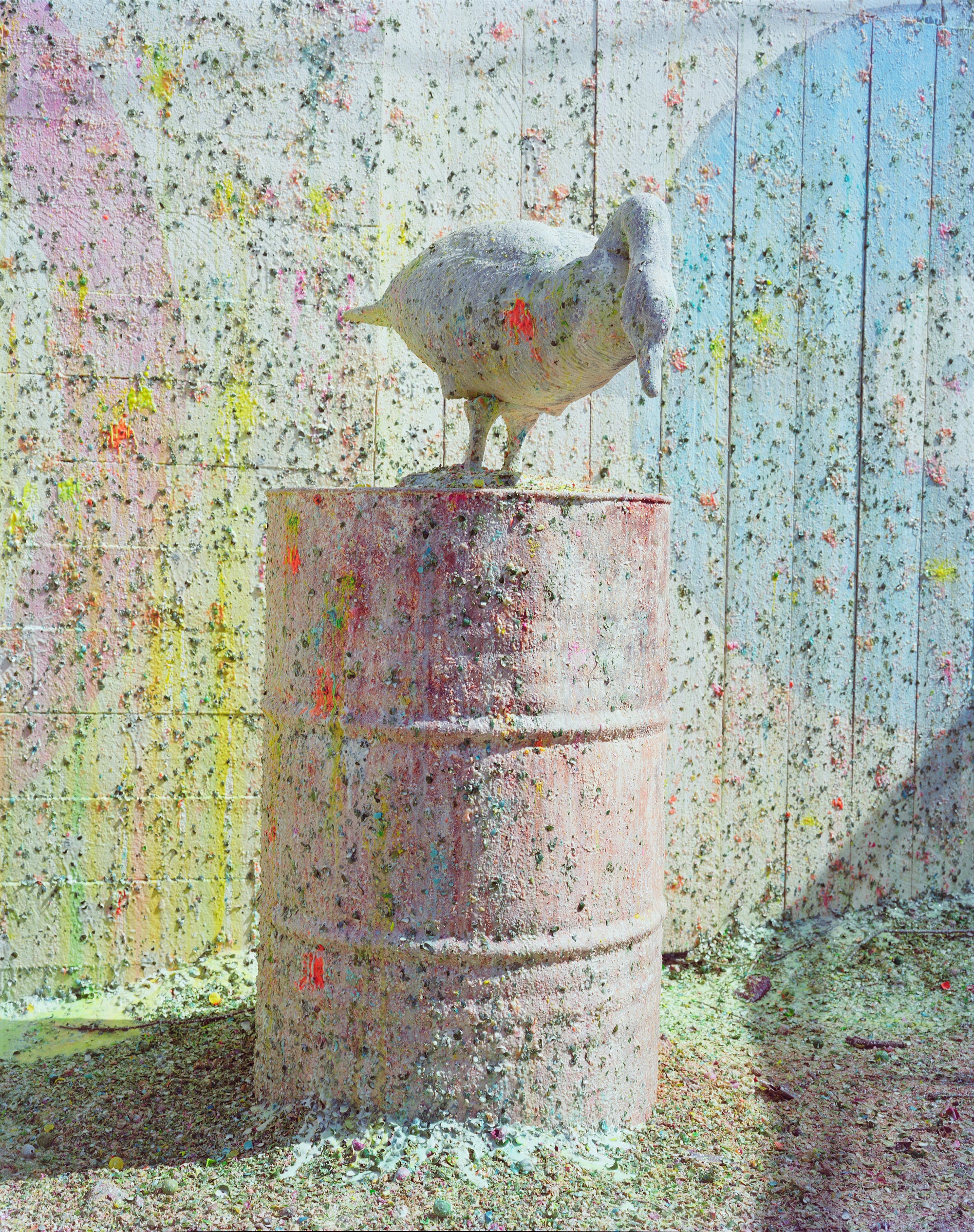 D'Amato, Paintball Target, 2017