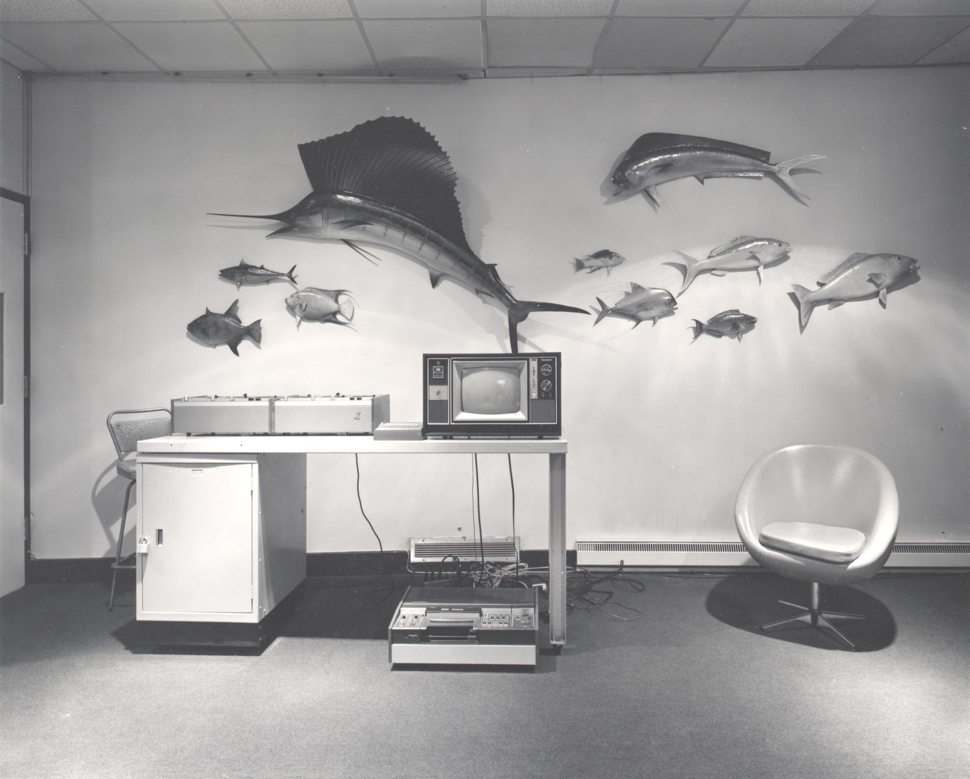 A black and white interior scene showing a wall-mounted fish display above a table with an old television, electronic equipment, a refrigerator, and a modern chair in a room.