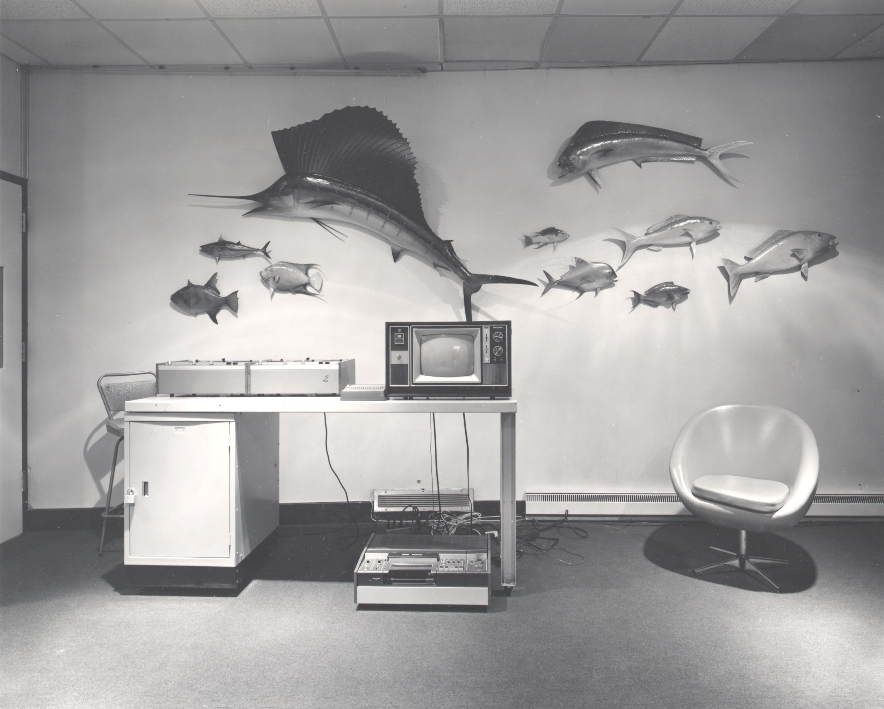 A black and white interior scene showing a wall-mounted fish display above a table with an old television, electronic equipment, a refrigerator, and a modern chair in a room.