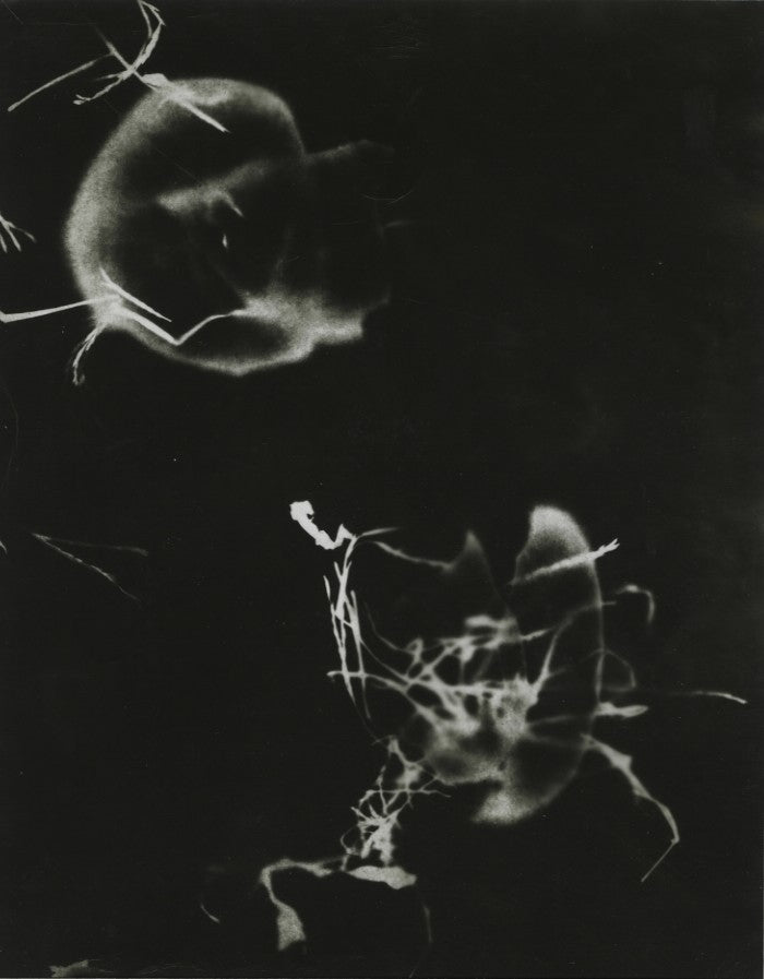Lea (Dorr), Chicago, 1951