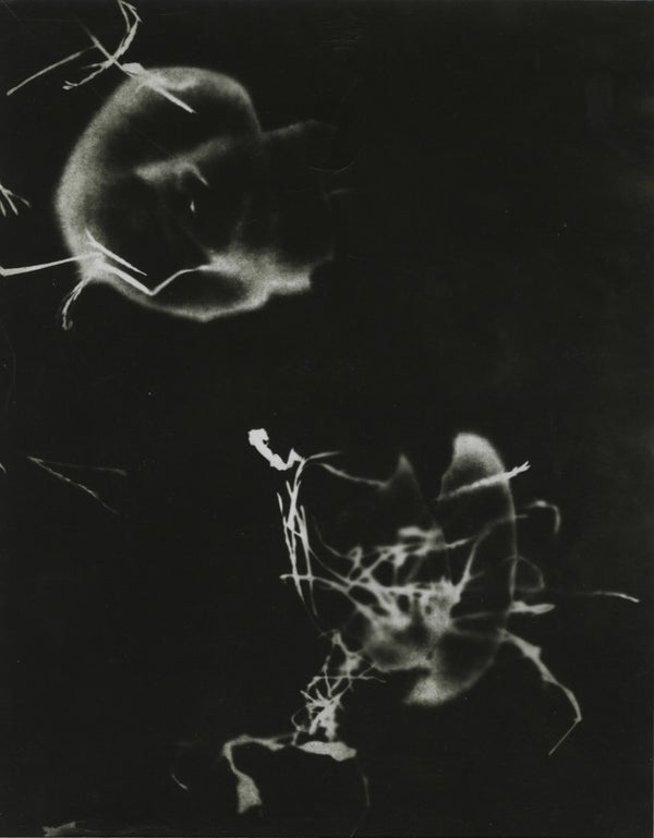 Lea (Dorr), Chicago, 1951