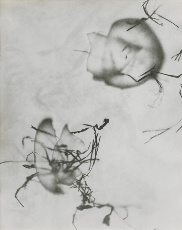 Lea (Dorr), Chicago, 1951