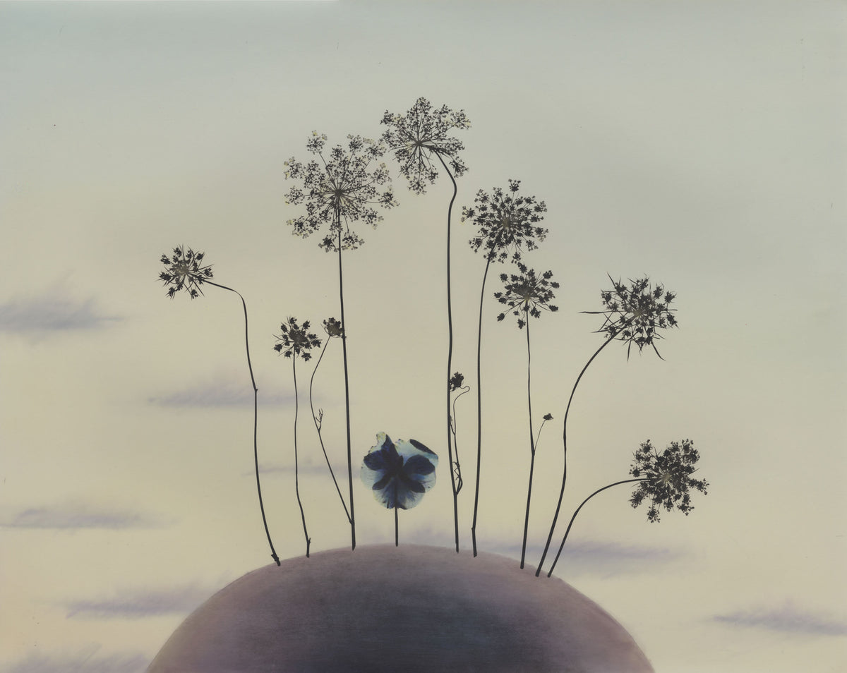 Lebe, Landscape #11, 1985