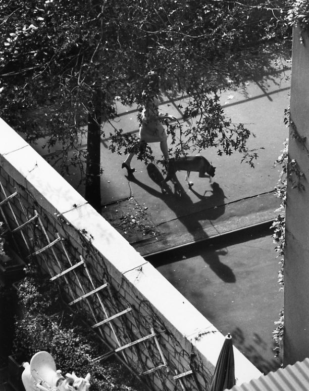 Kertesz, White Carousel Horse and Dog Walker, 1962