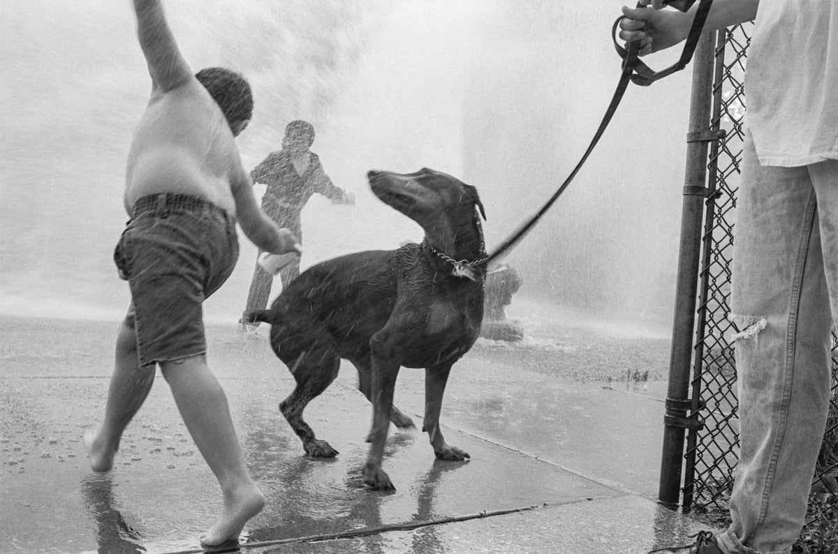 Steinmetz, Fire Hydrant Dog, 1990