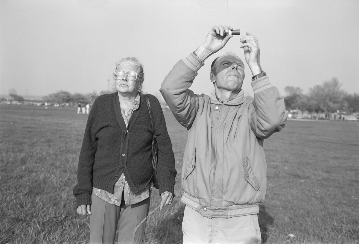 Steinmetz, Montrose Park (Kites), 1990