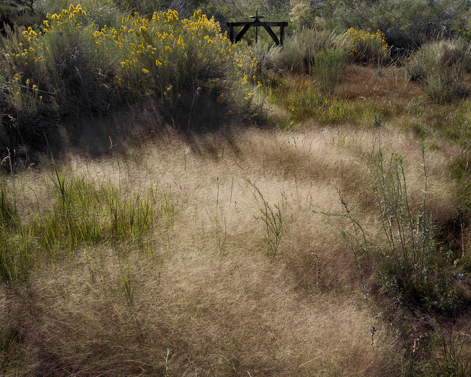 Temkin, Eaton Diversion on Convict Creek - Long Valley, CA, 2023