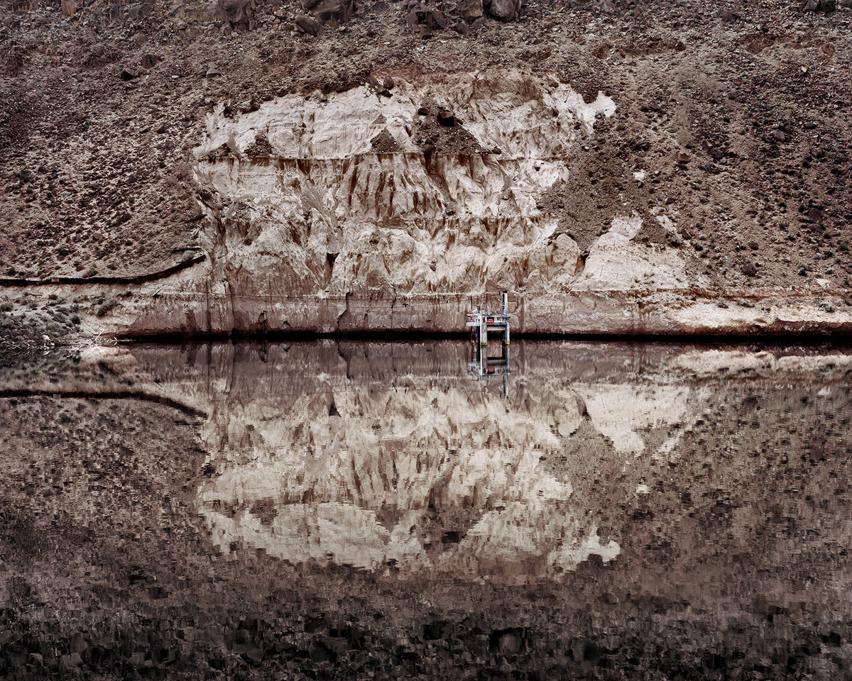 Temkin, Ravens - Pleasant Valley Reservoir, CA, 2023