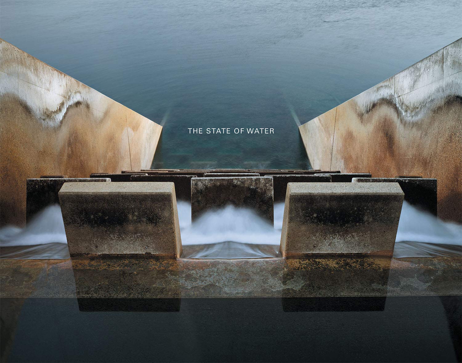Temkin, The State of Water